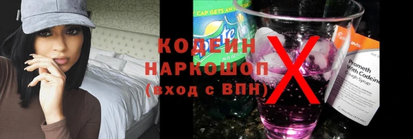 хмурый Арсеньев