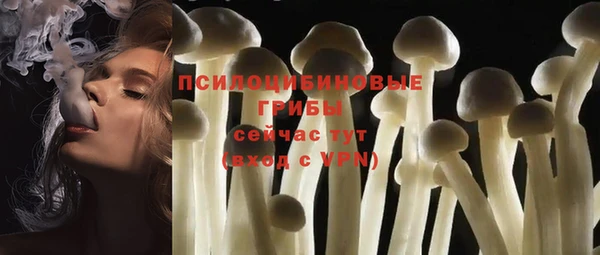 Альфа ПВП Алзамай