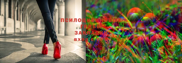 Альфа ПВП Алзамай