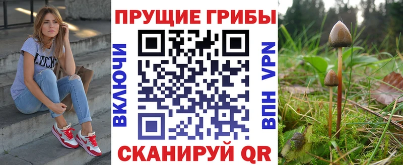 omg зеркало  Новомосковск  Галлюциногенные грибы ЛСД 